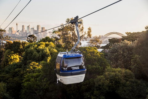 Australia Multi-City Attractions Pass - Hotel Gold Coast 5