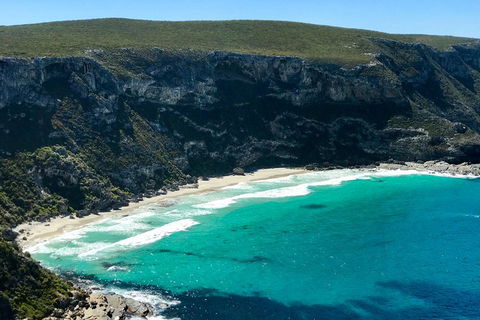 Kangaroo Island Scenic Trail Tour - Hotel Gold Coast 4