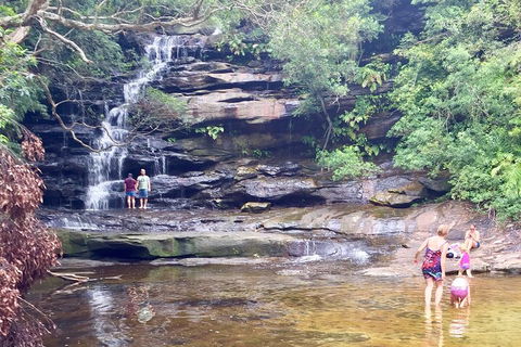 Central Coast Private Tour From Sydney, With Australian Reptile Park Option - Hotel Gold Coast 0