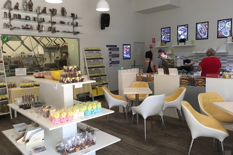 Central Coast Private Tour From Sydney, With Australian Reptile Park Option - Hotel Gold Coast 1