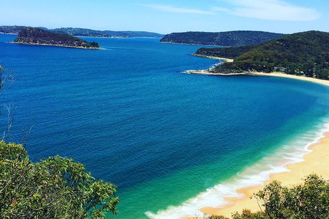 Central Coast Private Tour From Sydney, With Australian Reptile Park Option - Hotel Gold Coast 5