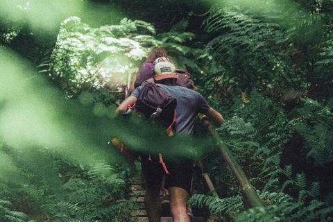 Private Day Trip At The Blue Mountains - Hotel Gold Coast 3