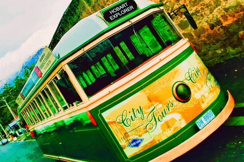Hobart Half-Day Sightseeing Coach Tram Tour - Hotel Gold Coast 5