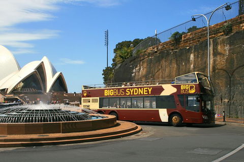 Big Bus Sydney And Bondi Hop-on Hop-off Tour - Hotel Gold Coast 3
