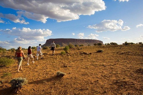 Mount Conner 4WD Small Group Tour From Ayers Rock Including Dinner - Hotel Gold Coast 0