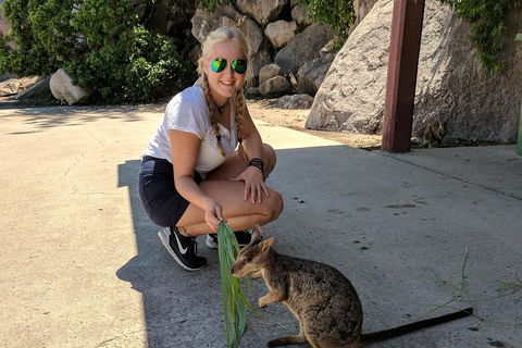 Magnetic Island Tour: Maggie Comprehensive - Hotel Gold Coast 2