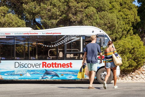 Discover Rottnest With Ferry & Bus Tour From Perth Or Fremantle - Hotel Gold Coast 1