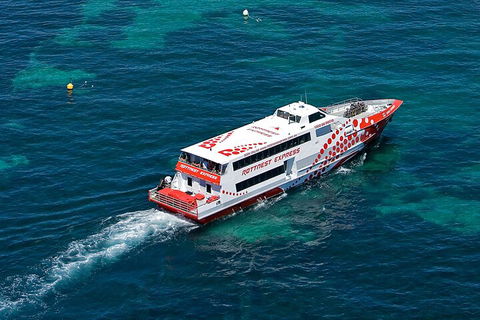 Discover Rottnest With Ferry & Bus Tour From Perth Or Fremantle - Hotel Gold Coast 3