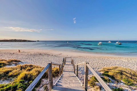 Discover Rottnest With Ferry & Bus Tour From Perth Or Fremantle - Hotel Gold Coast 4