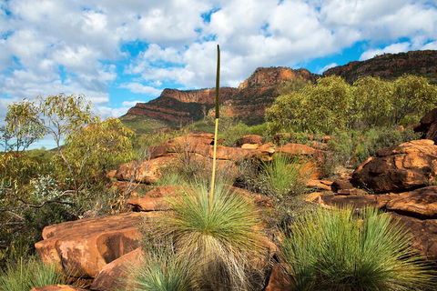6-Day Eyre Peninsula & Flinders Ranges Adventure Tour - Hotel Gold Coast 1