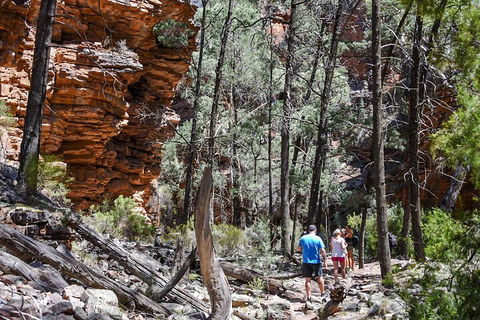 6-Day Eyre Peninsula & Flinders Ranges Adventure Tour - Hotel Gold Coast 5