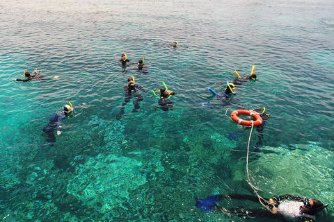 Seastar Luxury Outer Great Barrier Reef Island And Reef Tour From Cairns - Hotel Gold Coast 2