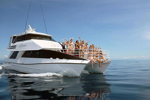 Seastar Luxury Outer Great Barrier Reef Island And Reef Tour From Cairns - Hotel Gold Coast 4