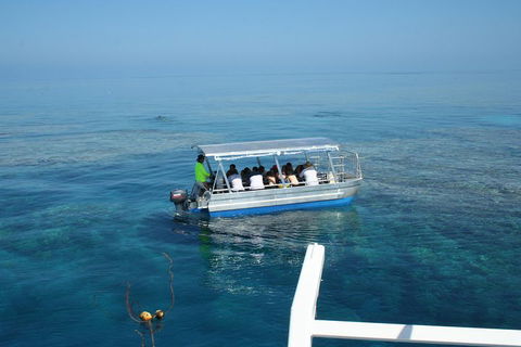 Seastar Luxury Outer Great Barrier Reef Island And Reef Tour From Cairns - Hotel Gold Coast 5