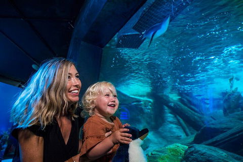 SEA LIFE Sunshine Coast Aquarium Entrance Ticket - Hotel Gold Coast 0