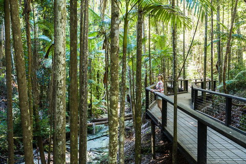 All-Inclusive Fraser Island Day Tour - Hotel Gold Coast 5
