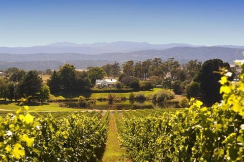 Josef Chromy Wines Winery Tour Including Tasting And Lunch - Hotel Gold Coast 4