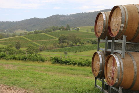 Hunter Valley Wine Tour From Sydney Incl Lunch, Cheese, Chocolate And Distillery - Hotel Gold Coast 5