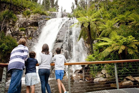 Lake Mountain Snow Trip Including Yarra Valley Chocolaterie From Melbourne - Hotel Gold Coast 0