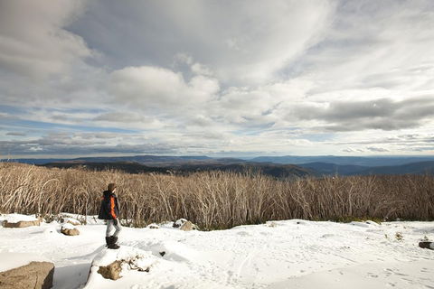 Lake Mountain Snow Trip Including Yarra Valley Chocolaterie From Melbourne - Hotel Gold Coast 5